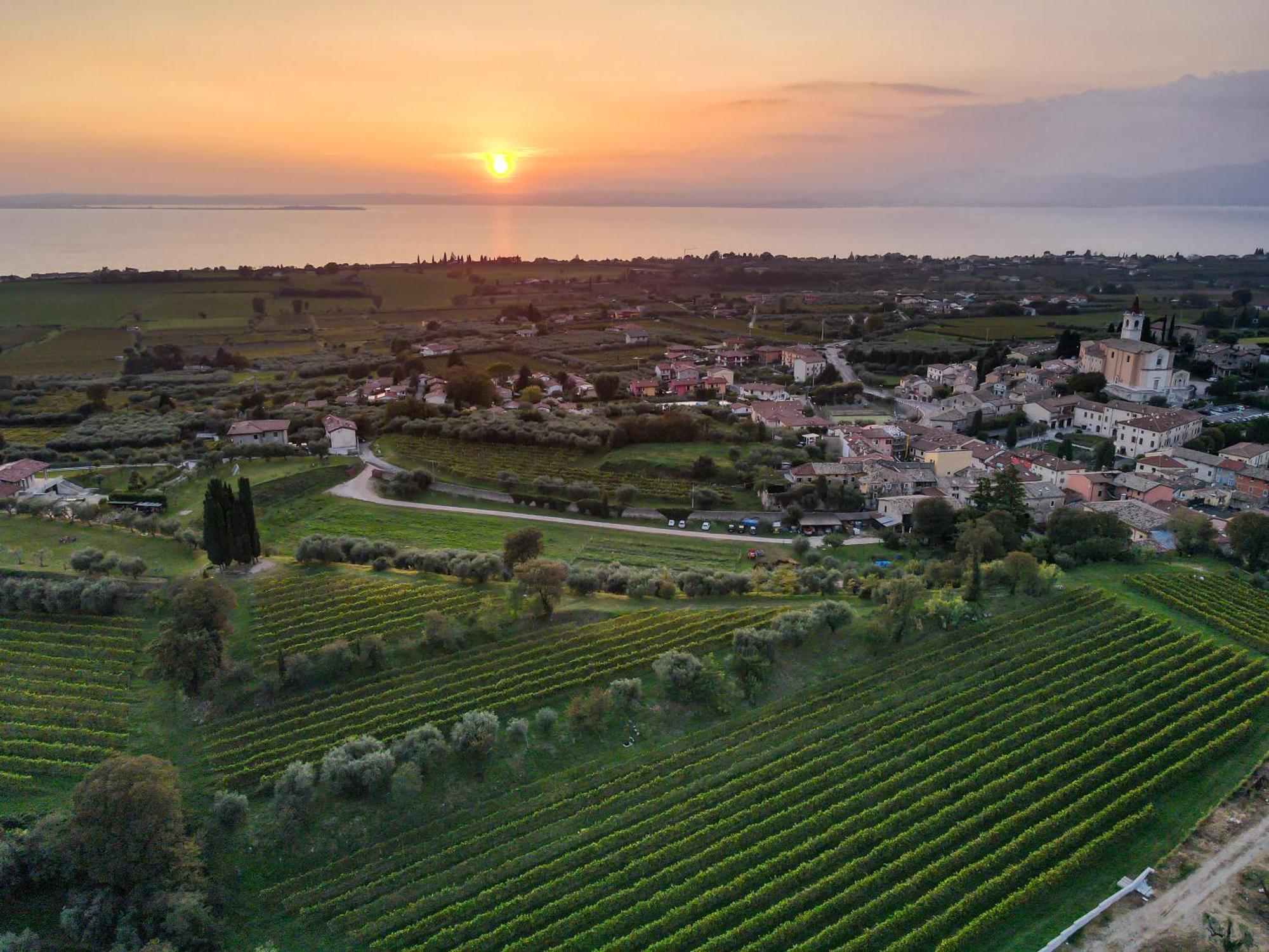 Villa Calicantus Bardolino Exteriér fotografie